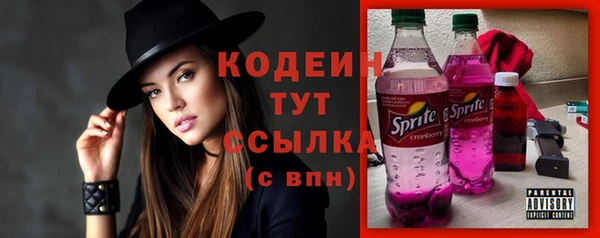 индика Покровск