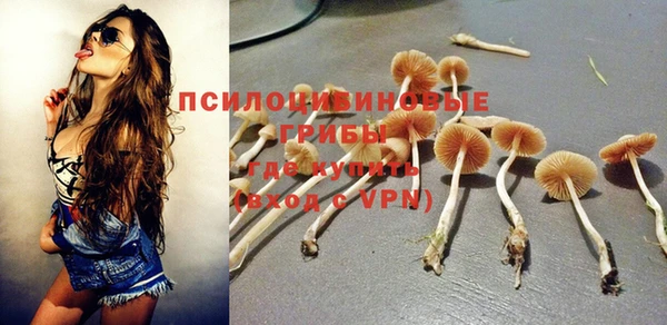 спиды Пересвет