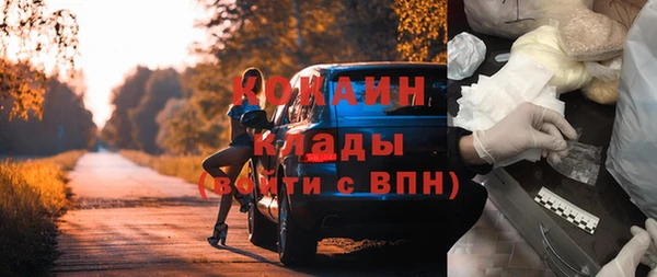молекула духа Покачи