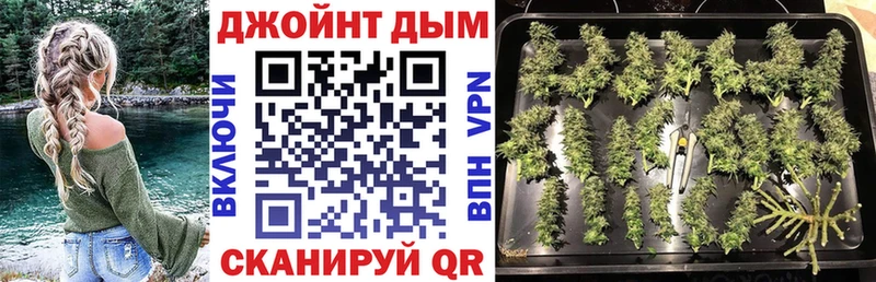 как найти наркотики  нарко площадка какой сайт  Канабис планчик  Краснодар 